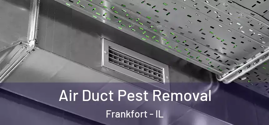  Air Duct Pest Removal Frankfort - IL