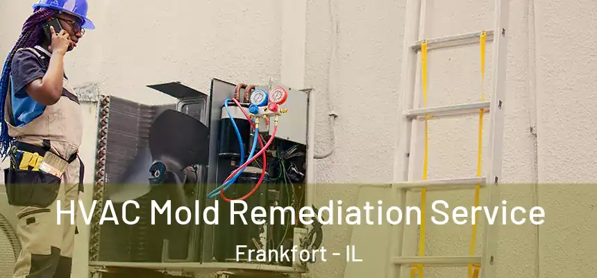  HVAC Mold Remediation Service Frankfort - IL