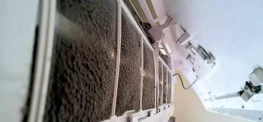 Preventive Air Duct Bacteria Removal in Frankfort