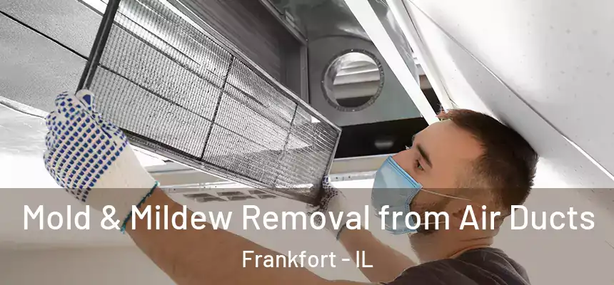  Mold & Mildew Removal from Air Ducts Frankfort - IL
