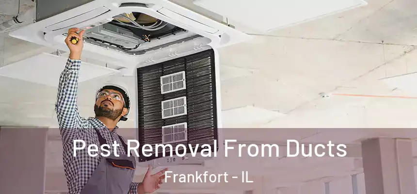  Pest Removal From Ducts Frankfort - IL