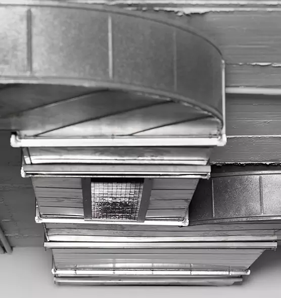 Professional Air Duct Pest Removal in Frankfort, IL