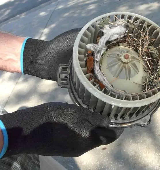 About Air Duct Rat Removal in Frankfort, IL