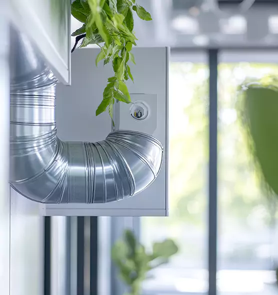 Professional Eco-Safe Dryer Vent Cleaning in Frankfort, IL