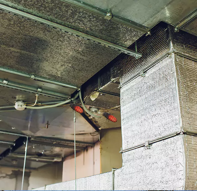 Why Homeowners & Businesses Trust Us in Frankfort, IL?